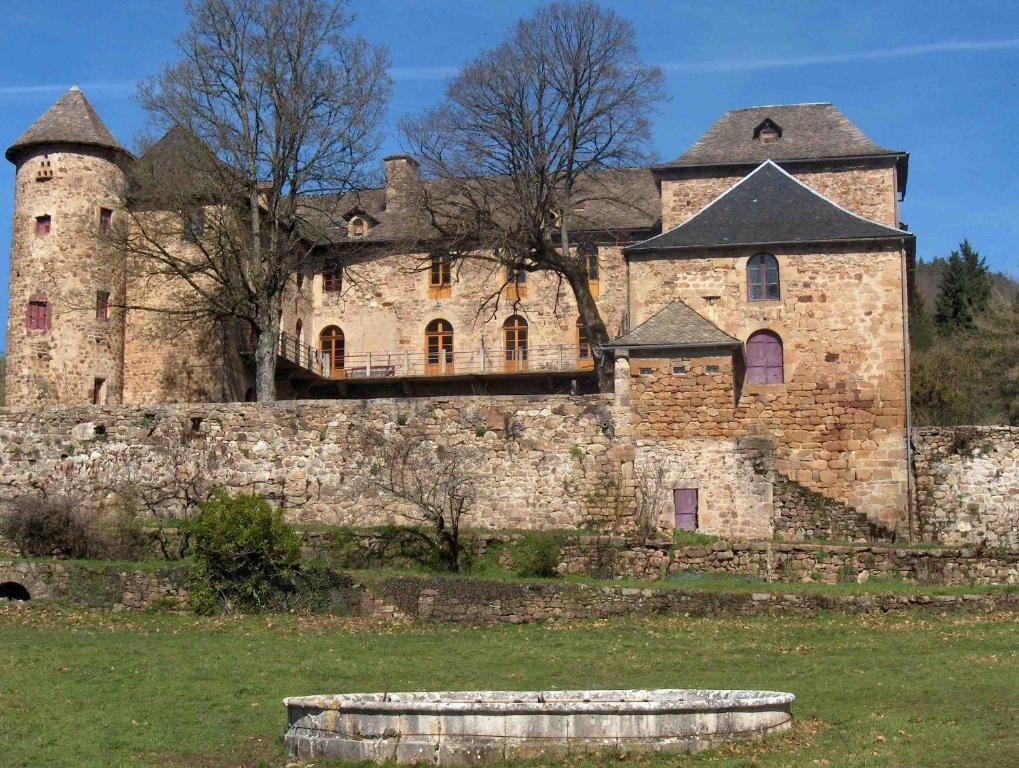 Chateau De Salelles Banassac Exterior photo